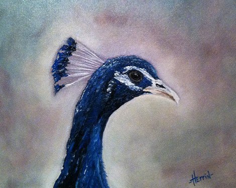 Peacock Painting by Ryan Herrin